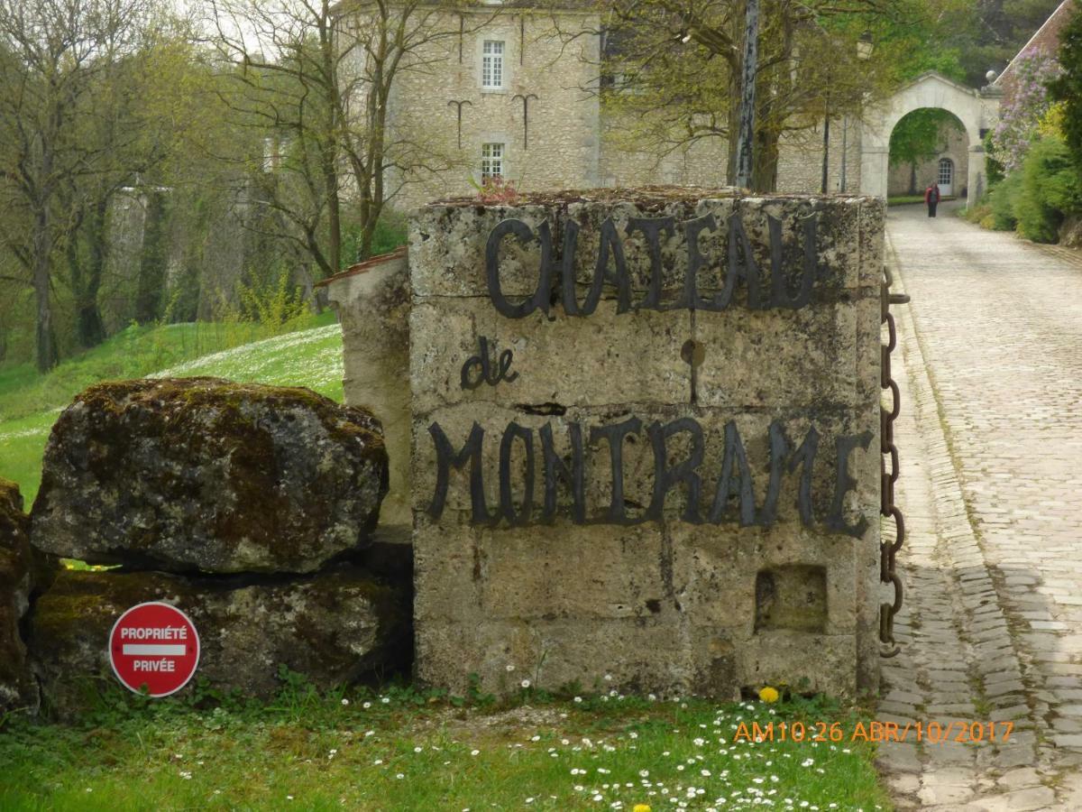 Chateau De Montrame Soisy-Bouy Eksteriør billede
