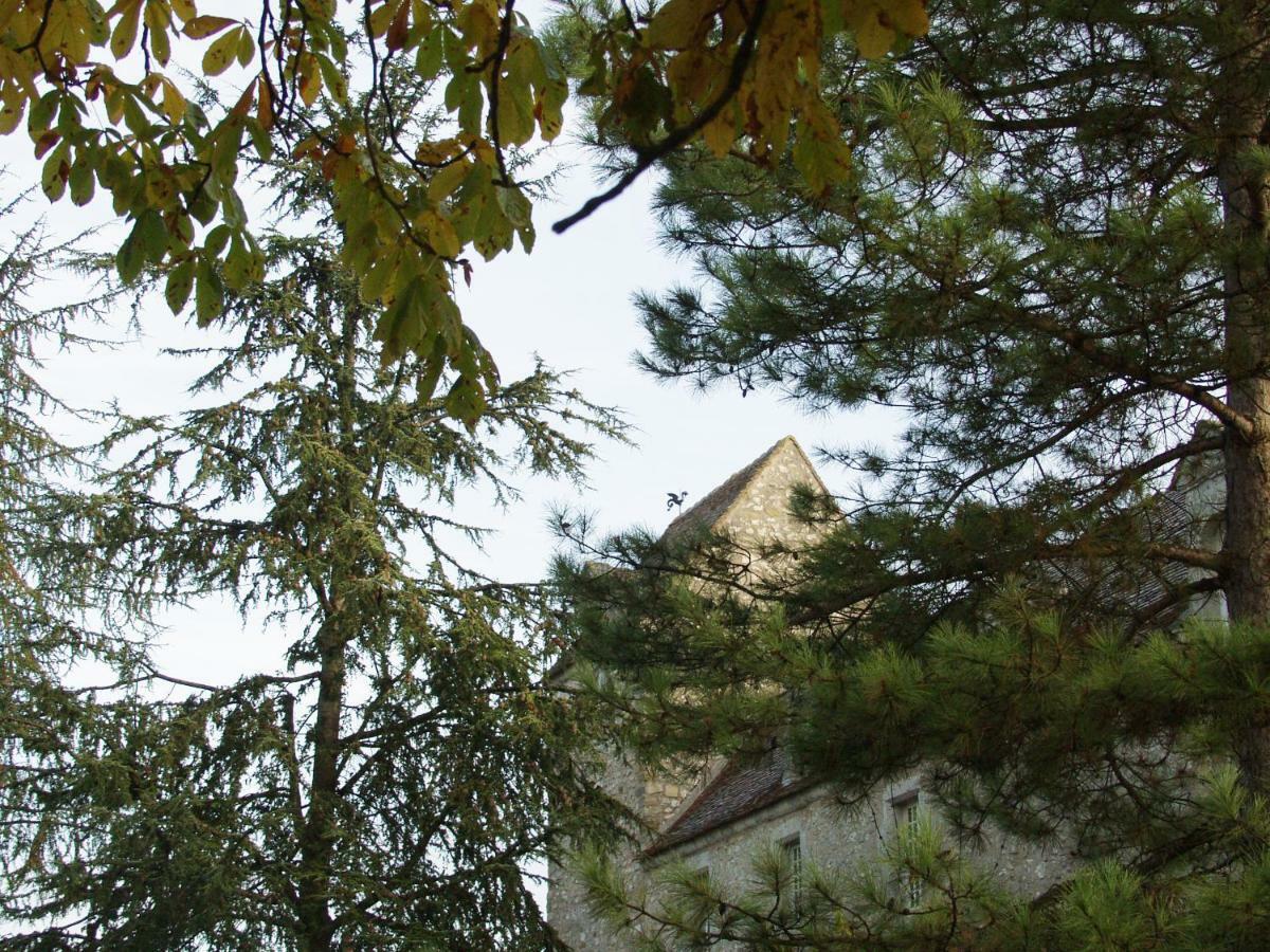 Chateau De Montrame Soisy-Bouy Eksteriør billede