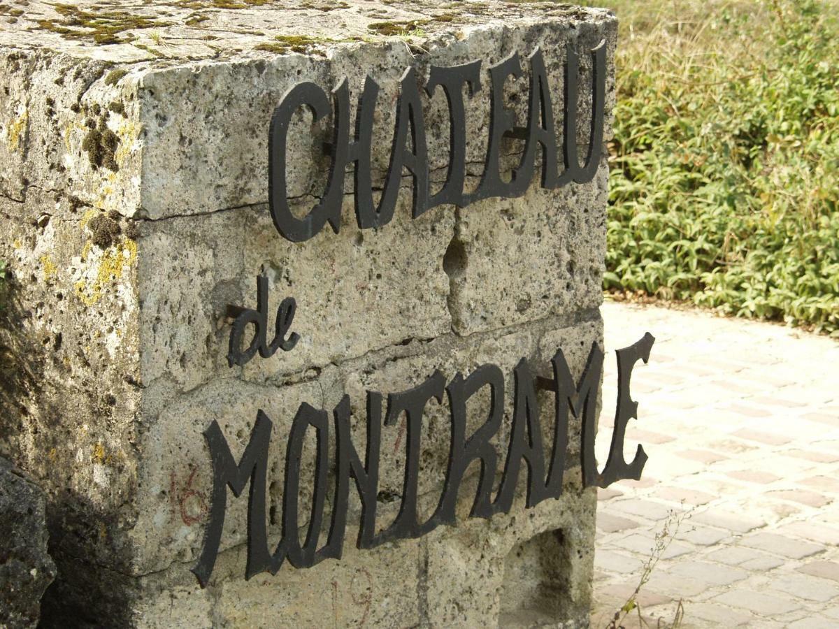 Chateau De Montrame Soisy-Bouy Eksteriør billede